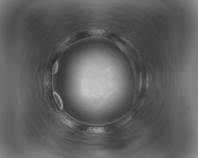 X0000080660665200612151132