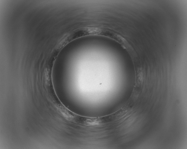 X0000080660667200612151132