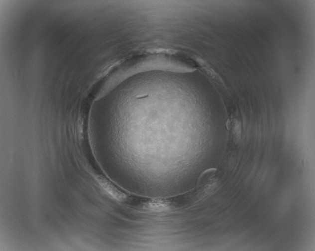 X0000080660668200612151132