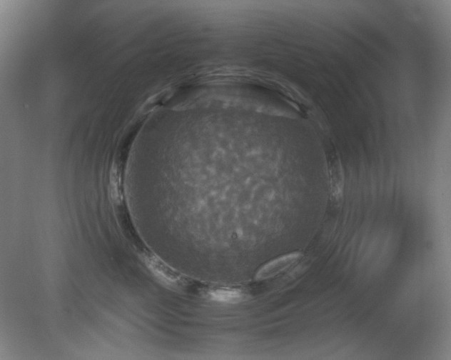 X0000080660669200612151132