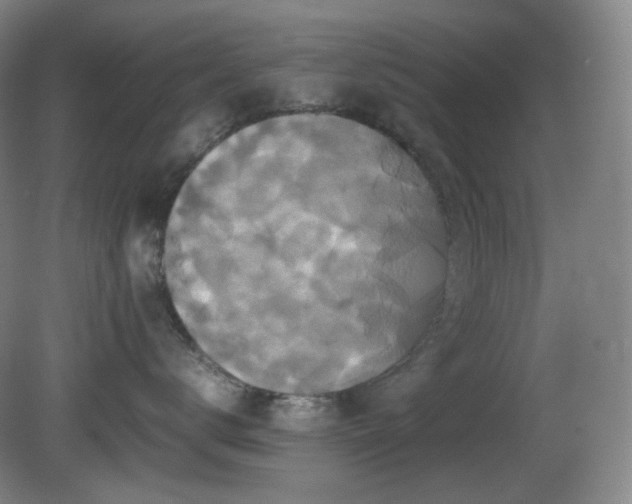 X0000080660672200612151132