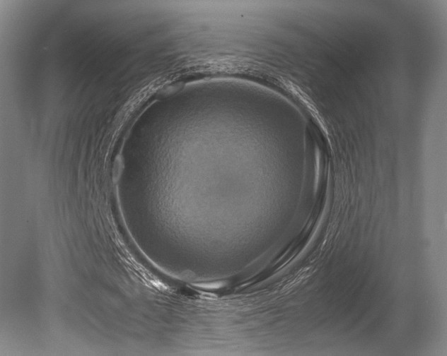 X0000080660673200612151132
