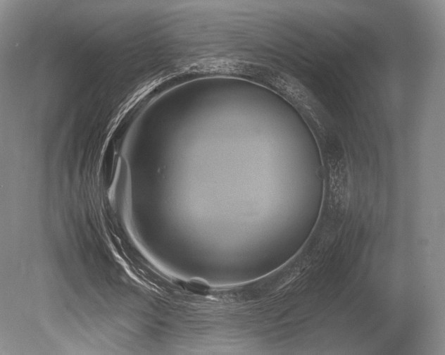X0000080660674200612151132