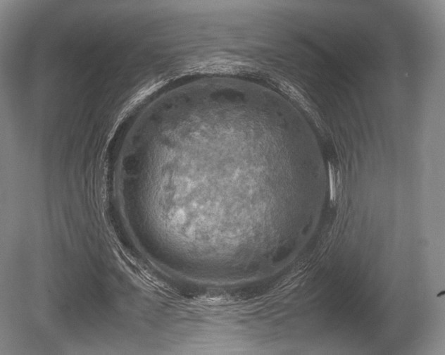 X0000080660675200612151132