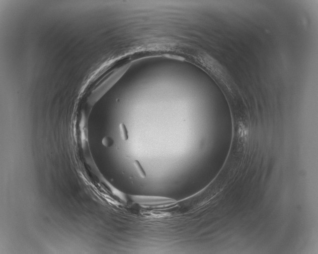 X0000080660676200612151132