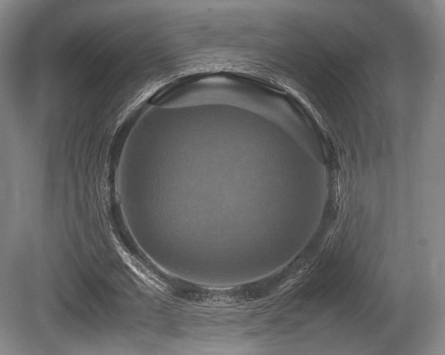 X0000080660677200612151132
