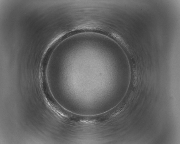 X0000080660680200612151132