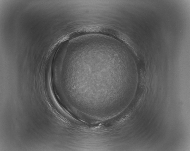 X0000080660681200612151132
