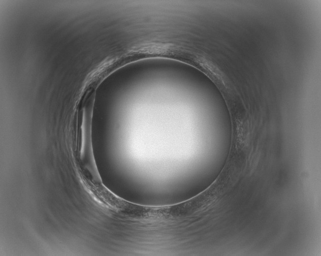 X0000080660682200612151132