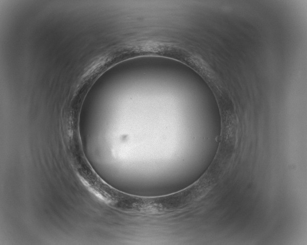X0000080660683200612151132