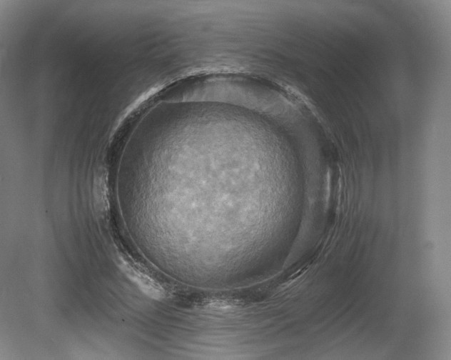 X0000080660684200612151131