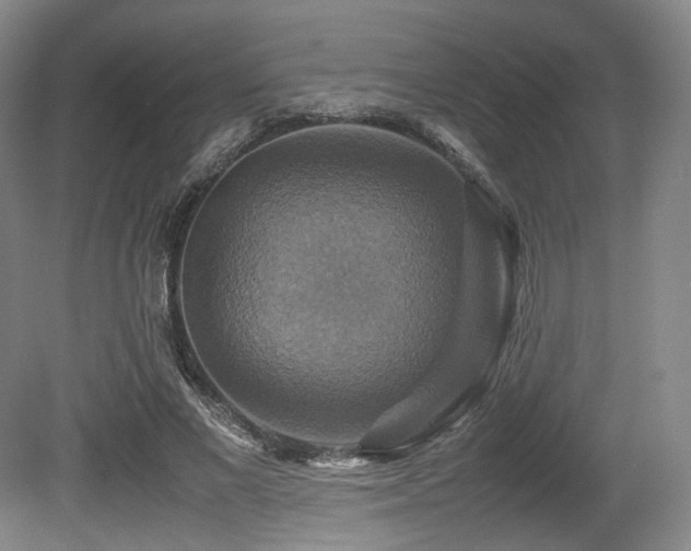 X0000080660685200612151131