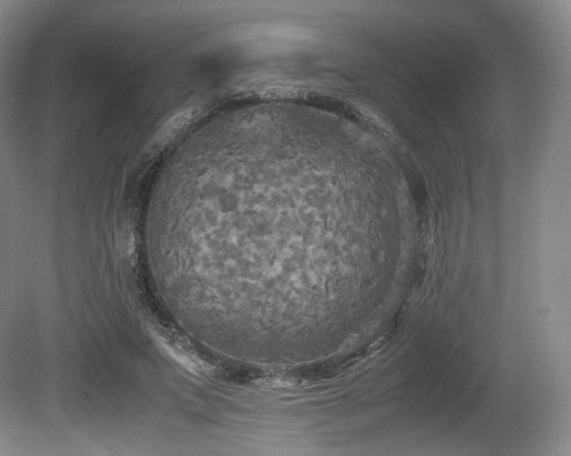 X0000080660687200612151131