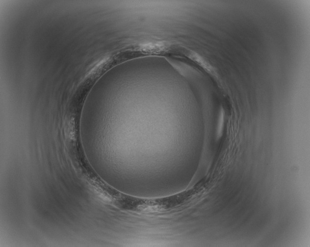 X0000080660689200612151131