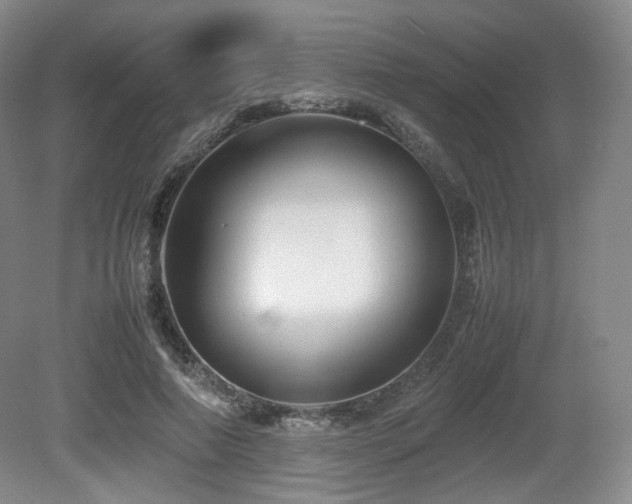 X0000080660690200612151131