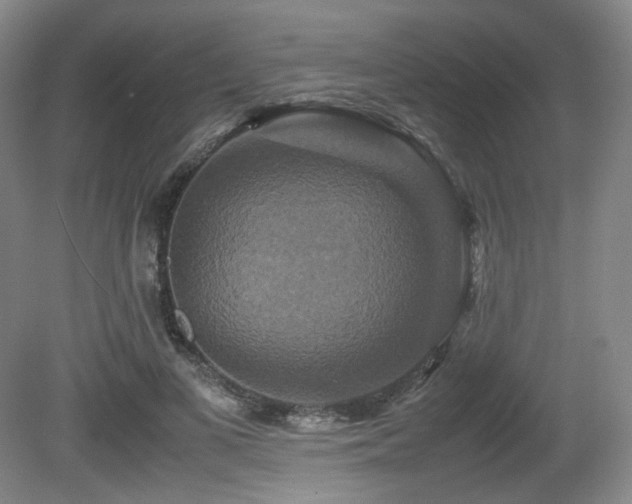 X0000080660693200612151131