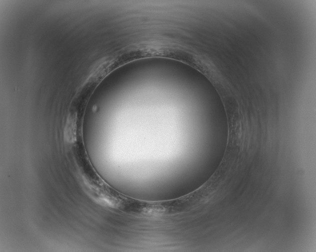 X0000080660694200612151131