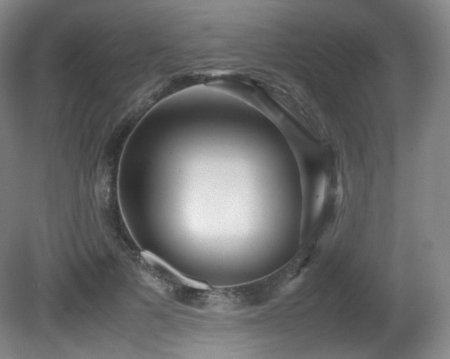 X0000080660697200612151131