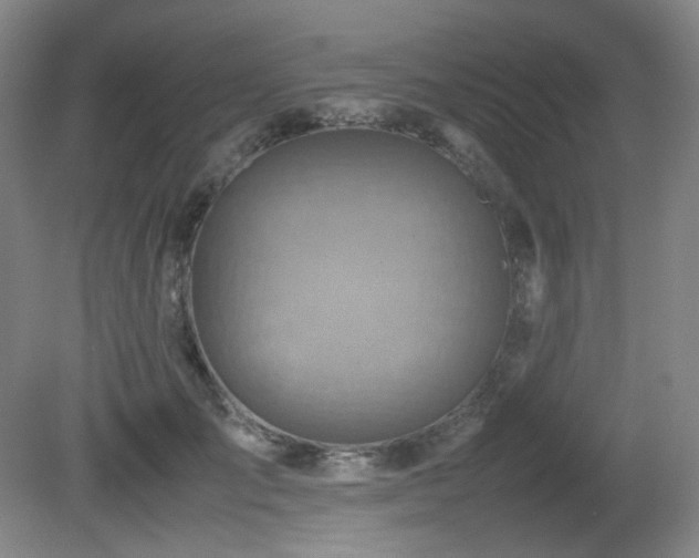 X0000080660701200612151131