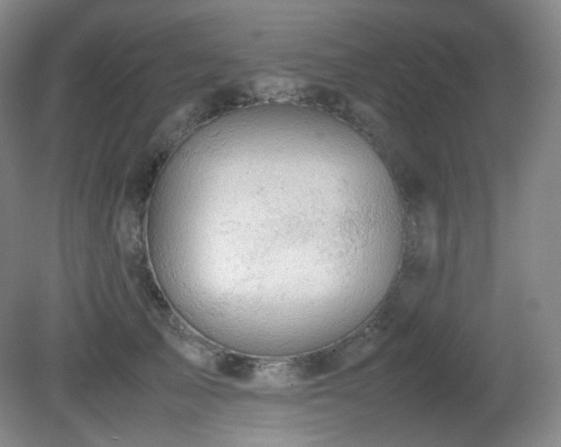 X0000080660705200612151131