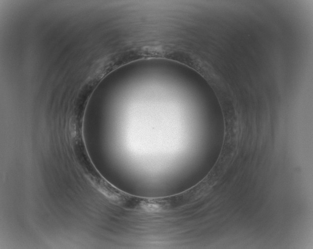 X0000080660706200612151131