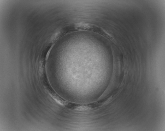X0000080660708200612151131