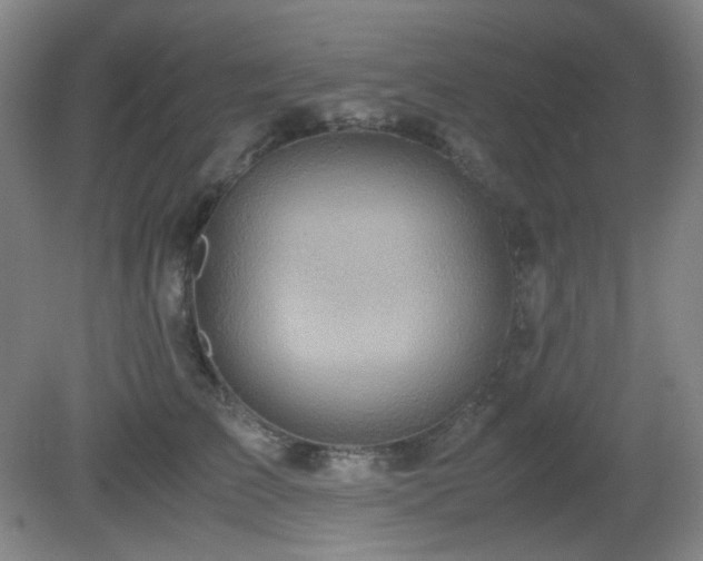 X0000080660709200612151131