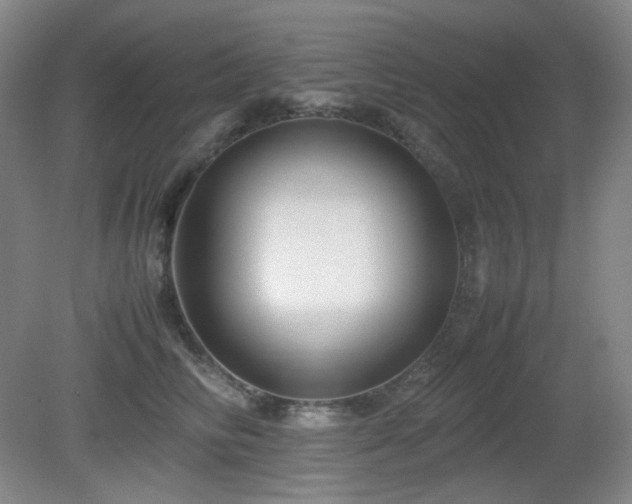 X0000080660710200612151131