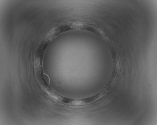 X0000080660711200612151131