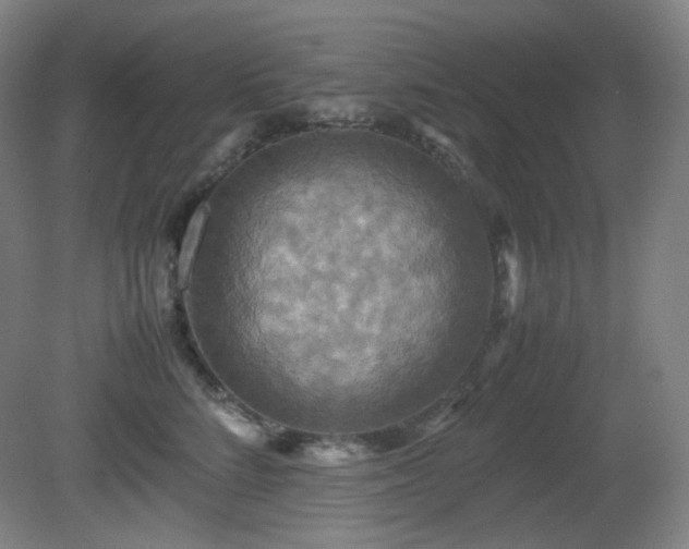 X0000080660712200612151131