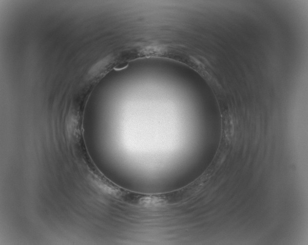 X0000080660714200612151131