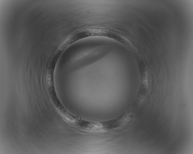 X0000080660715200612151131