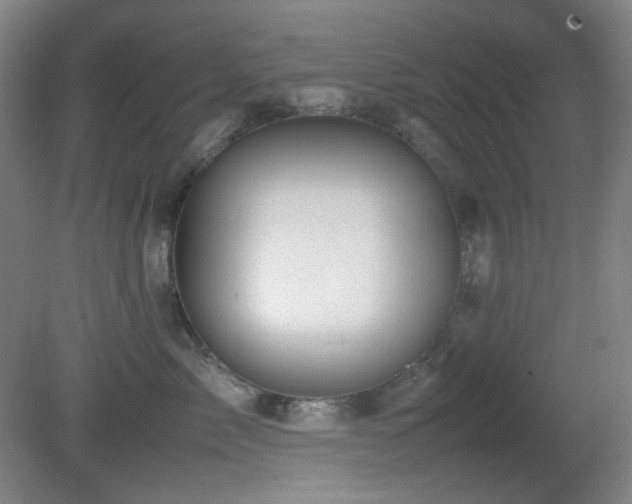 X0000080660717200612151131