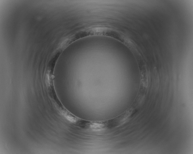X0000080660718200612151131