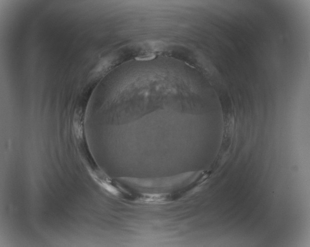 X0000080660719200612151131
