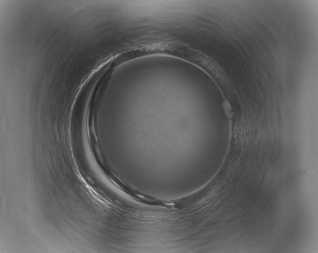 X0000080660722200612151130
