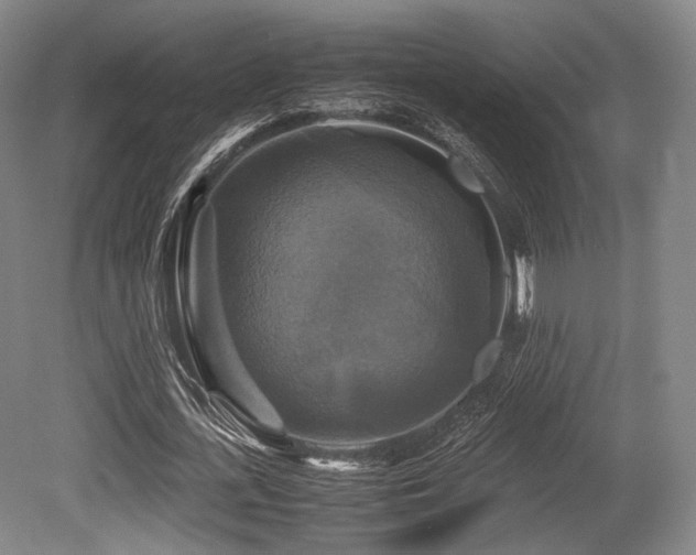 X0000080660723200612151130