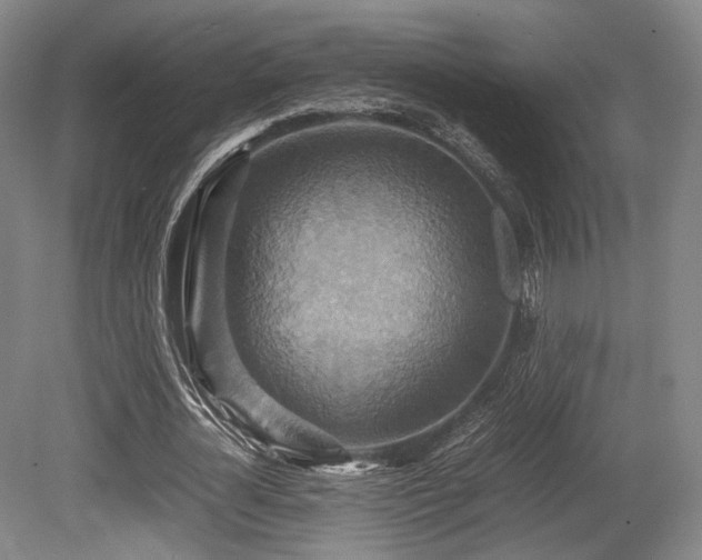 X0000080660724200612151130
