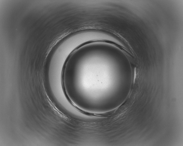 X0000080660725200612151130