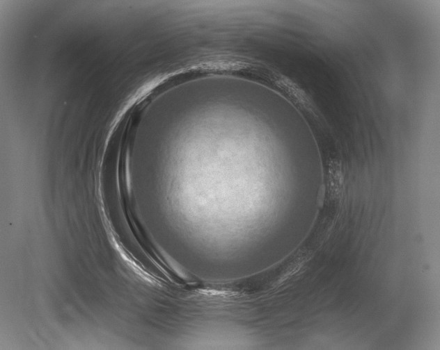 X0000080660726200612151130