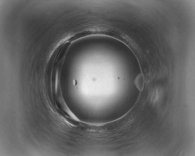 X0000080660727200612151130