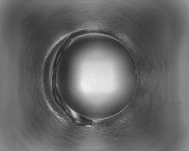 X0000080660728200612151130