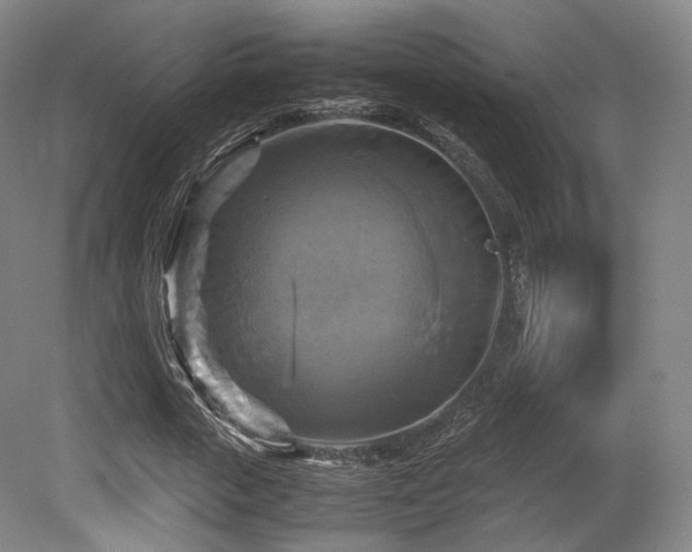 X0000080660729200612151130