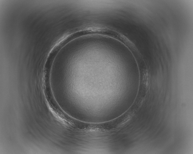 X0000080660730200612151130