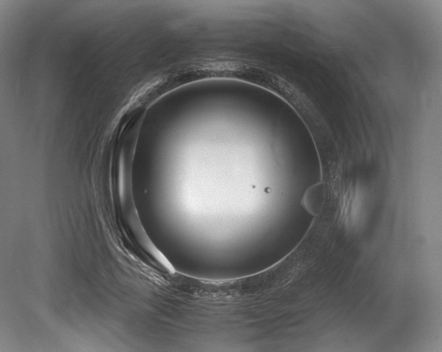 X0000080660731200612151130