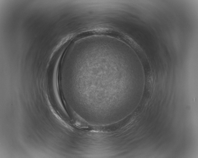 X0000080660734200612151130
