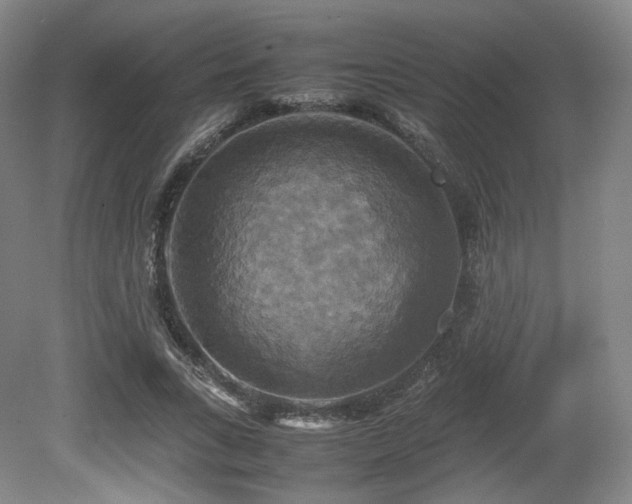 X0000080660735200612151130