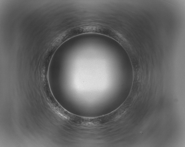 X0000080660737200612151130