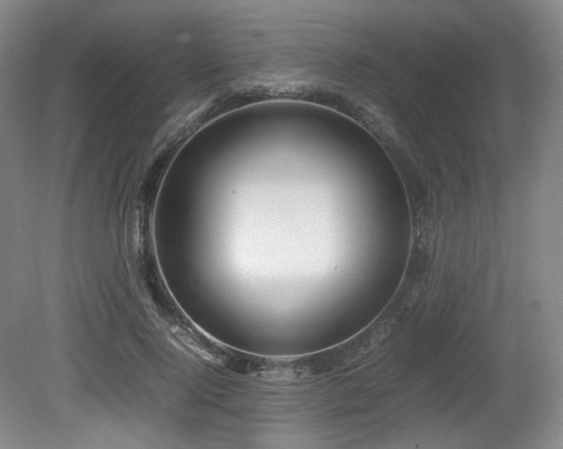 X0000080660740200612151130