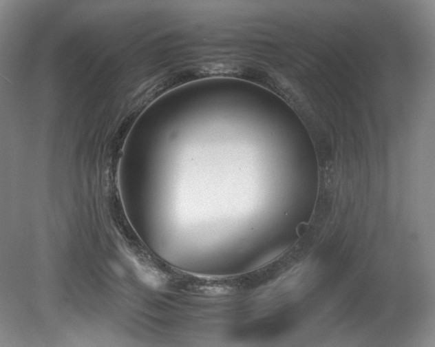 X0000080660741200612151130